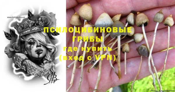 МДПВ Волоколамск