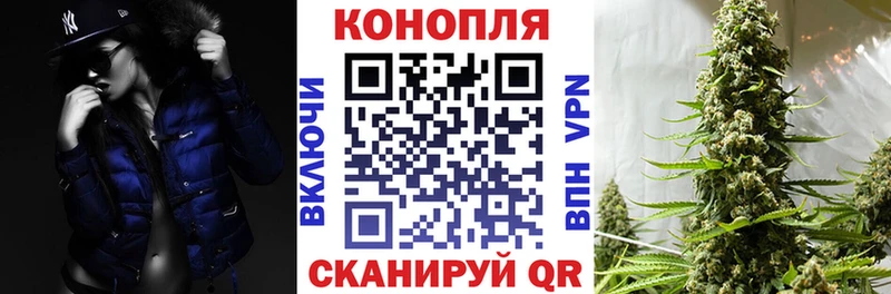 Бошки марихуана THC 21%  закладка  Звенигово 